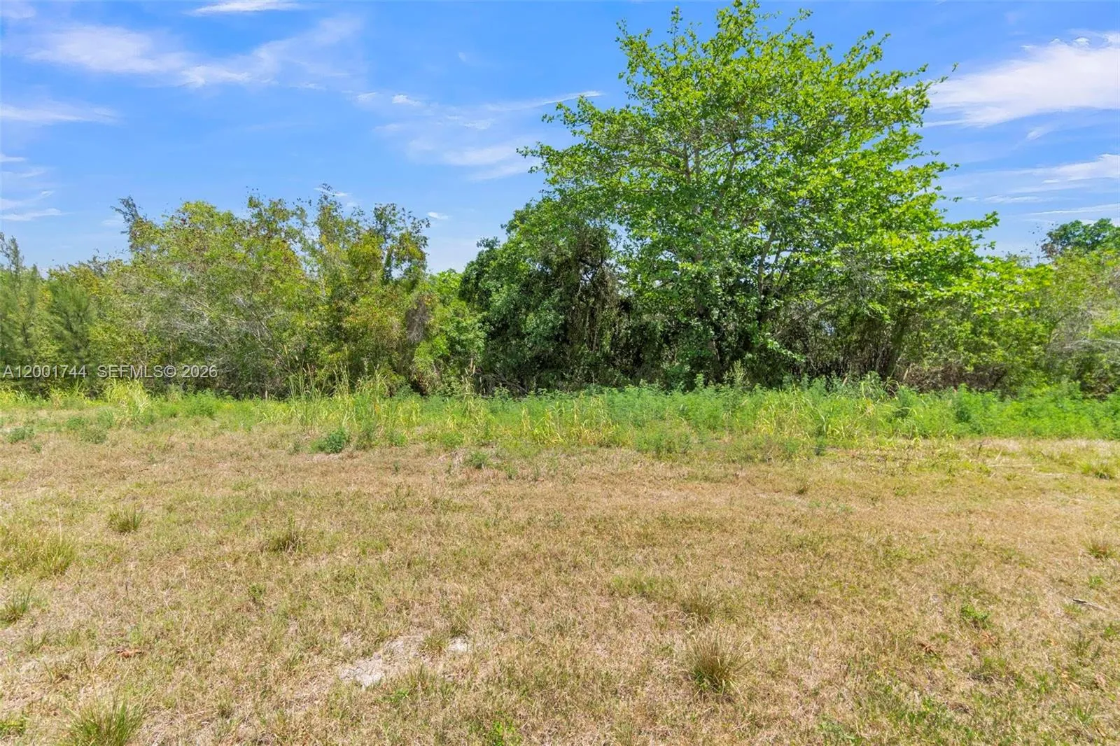 Property photo 29