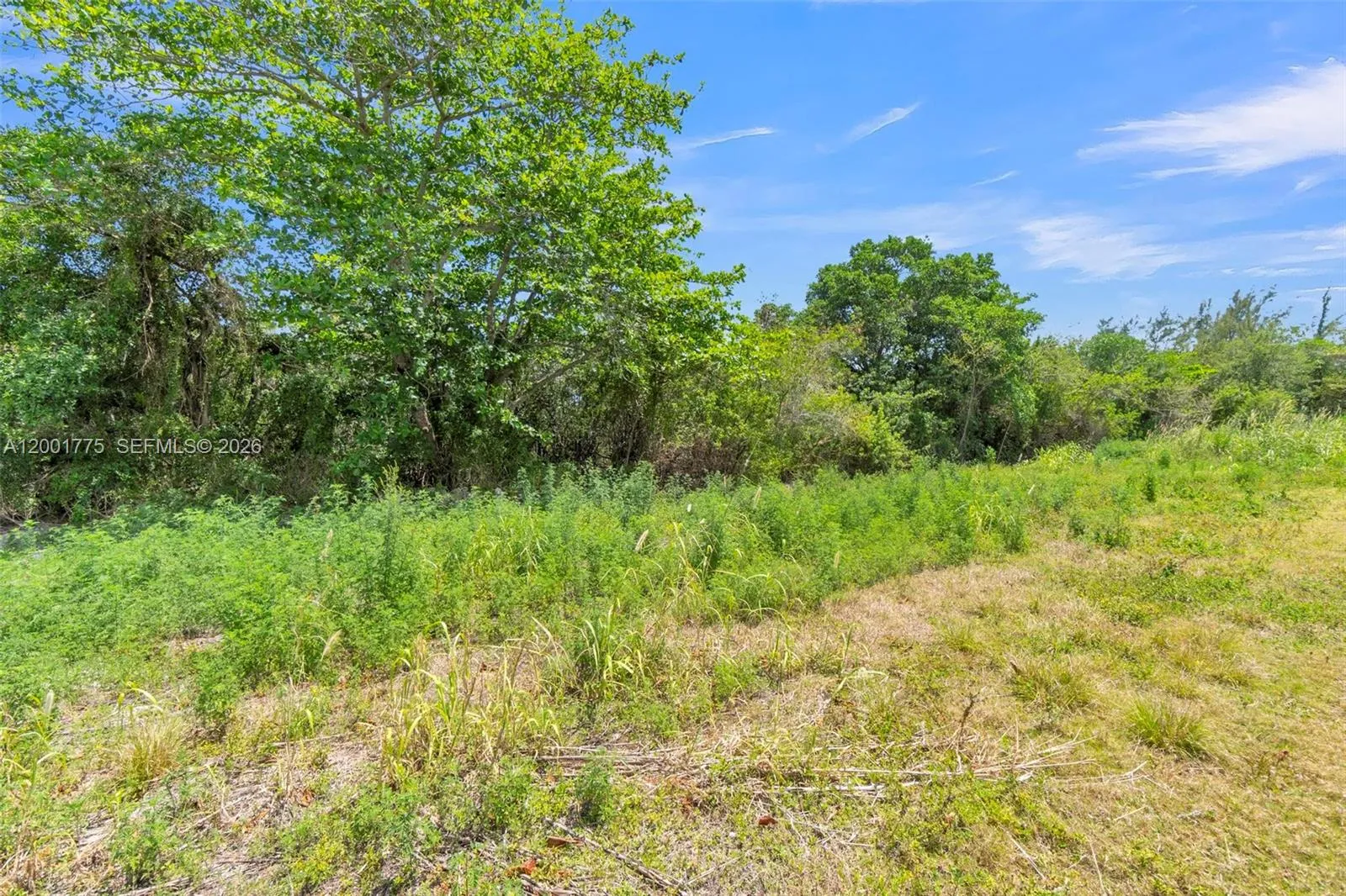 Property photo 31