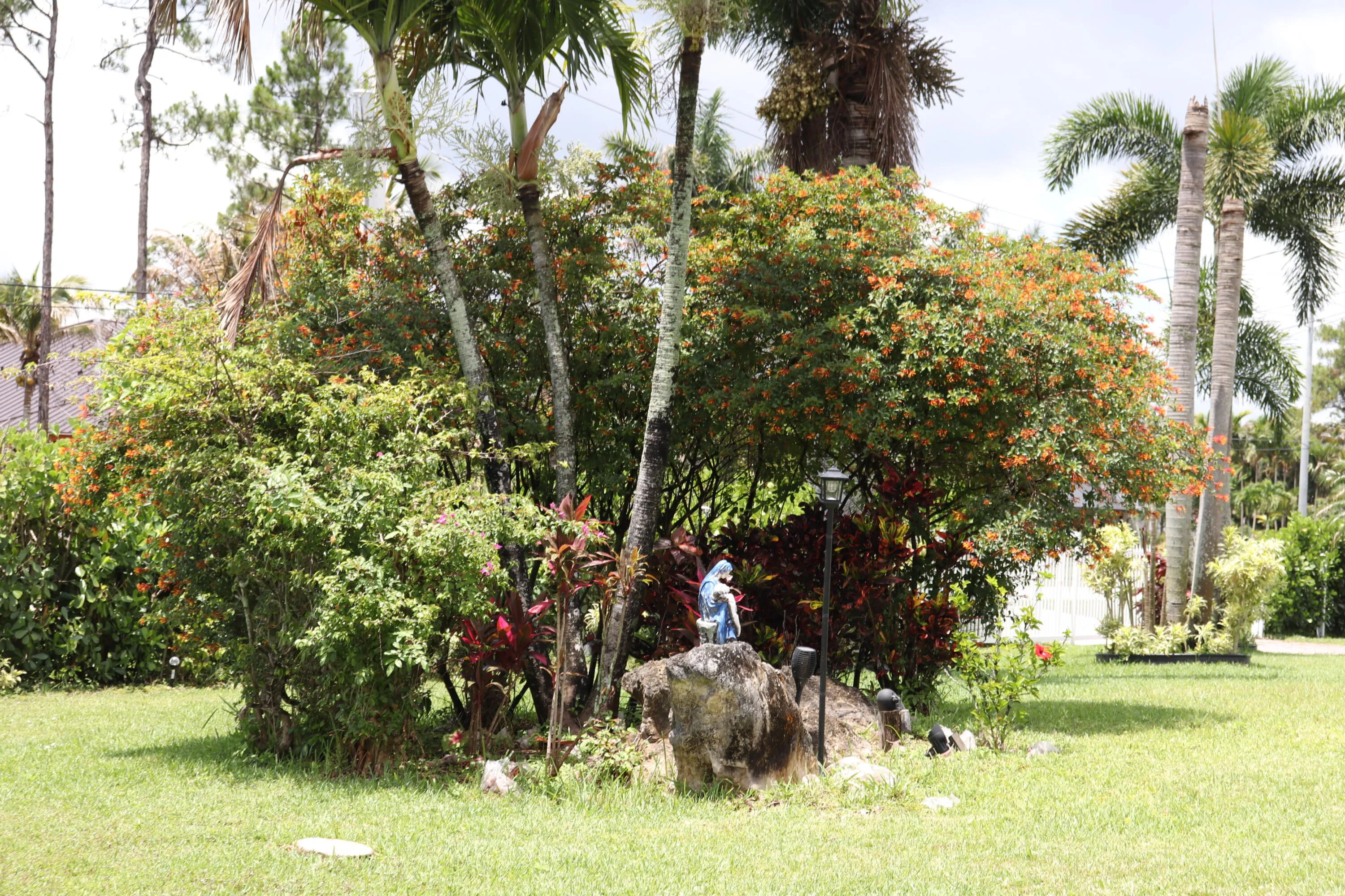 Property photo 86