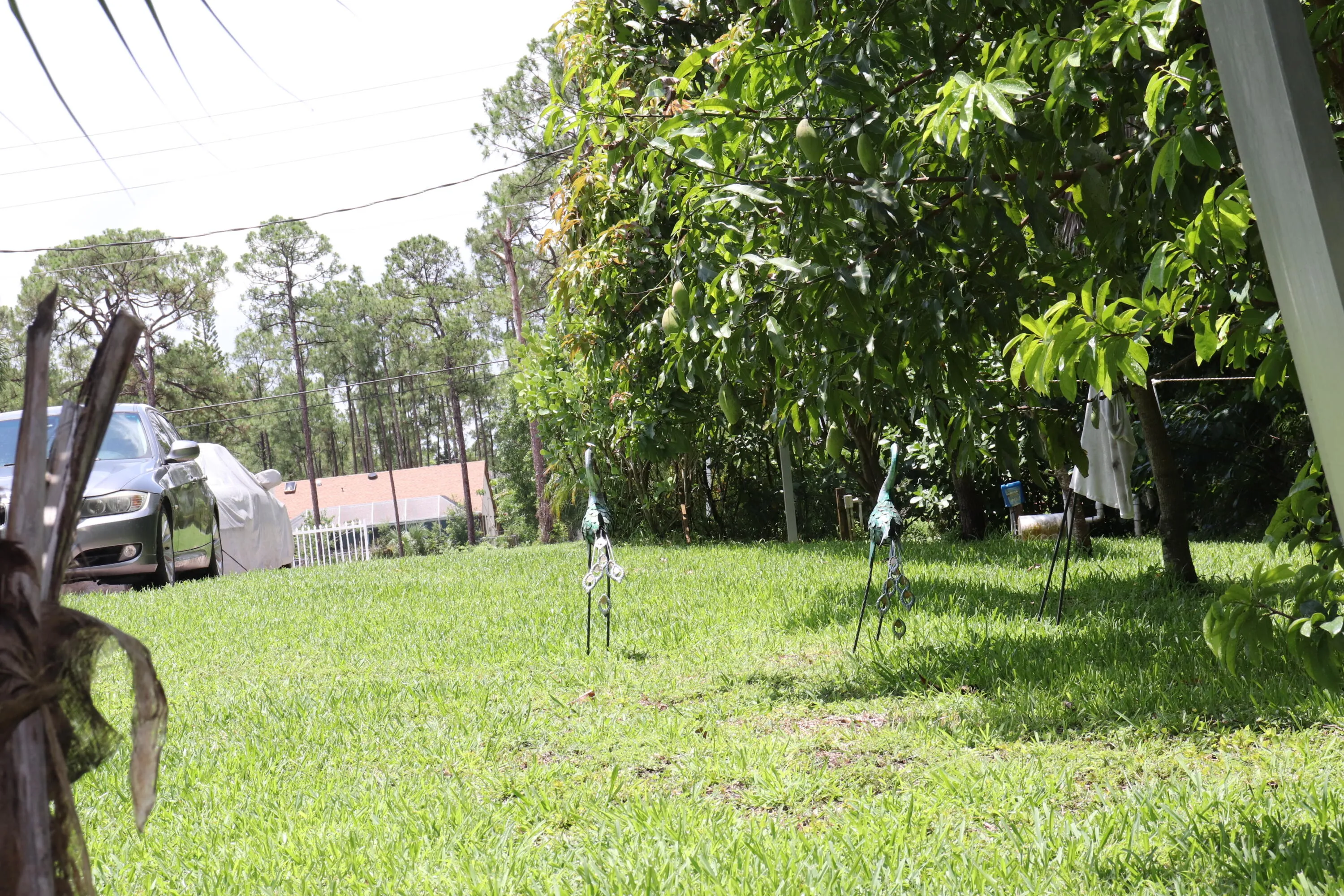 Property photo 72