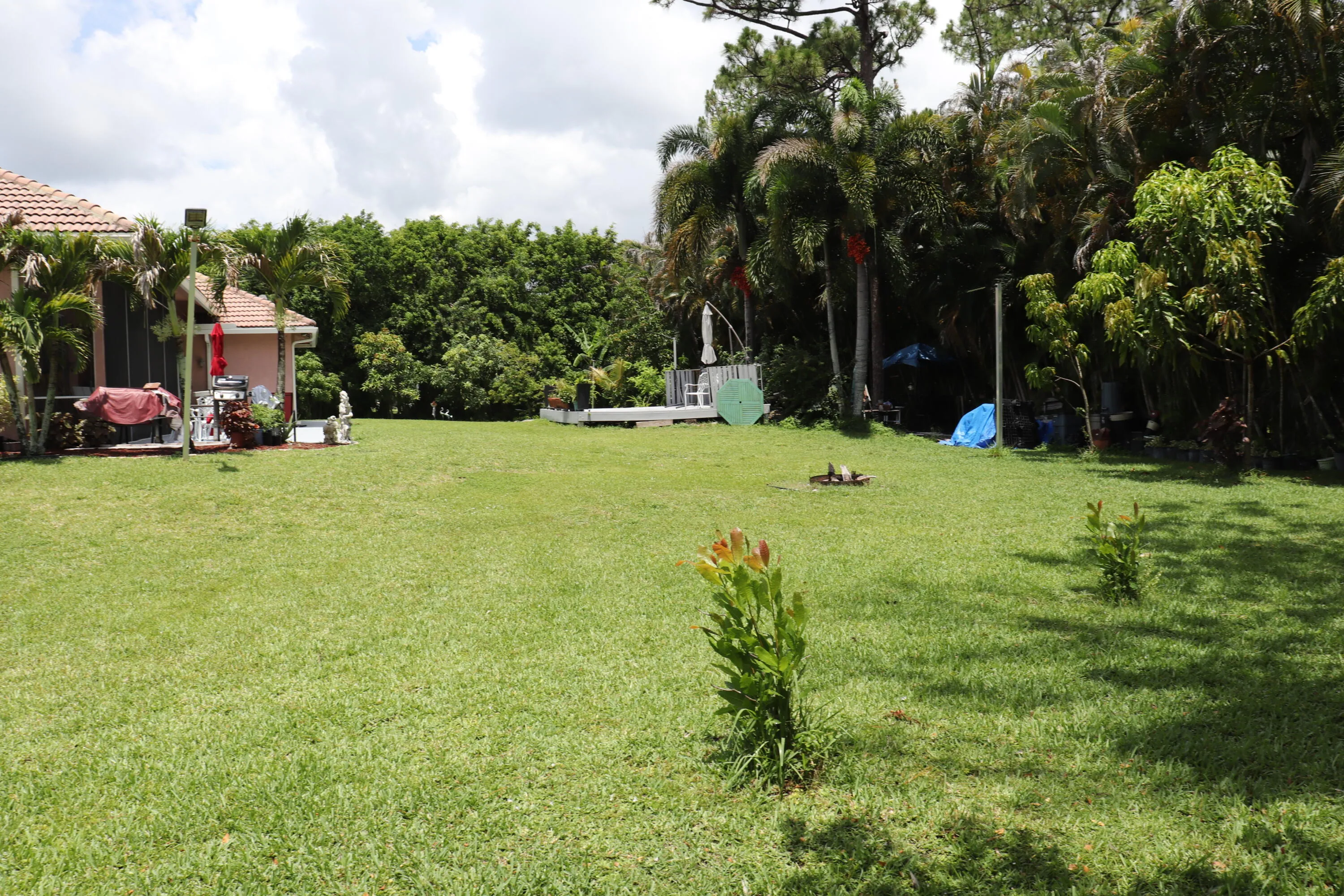 Property photo 79