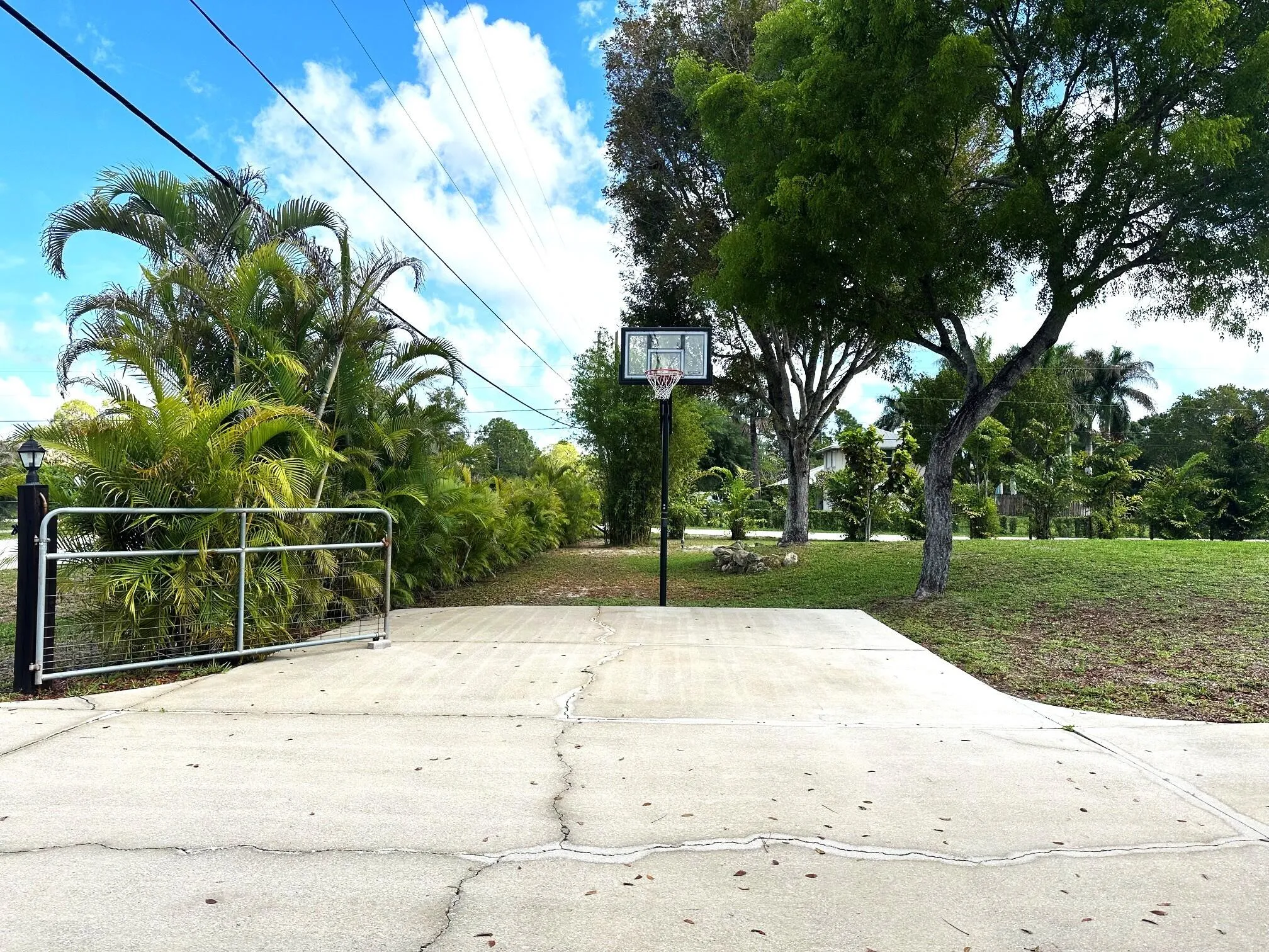 Basketball Hoop