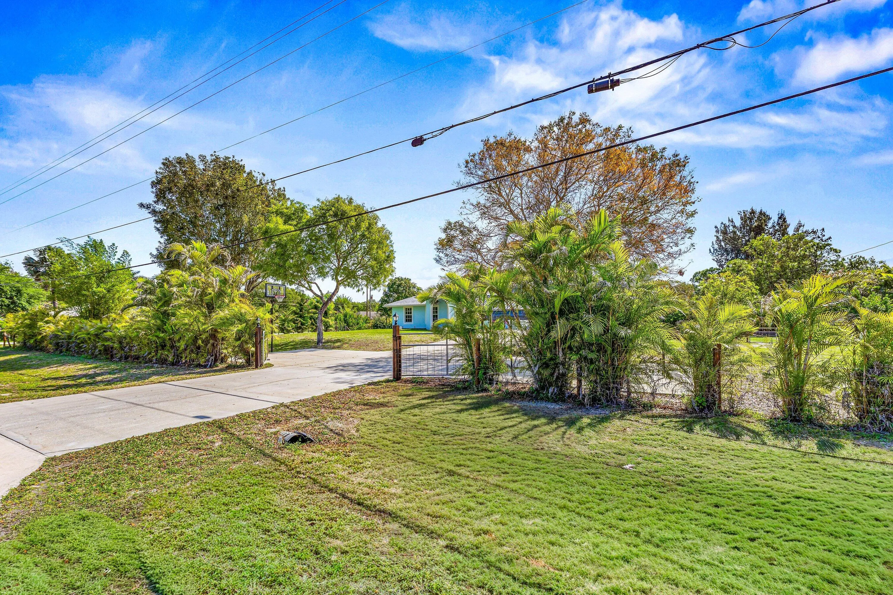 Fenced Yard