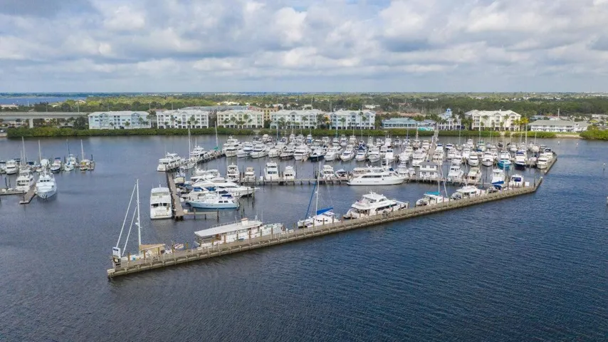 Main Harborage Picture