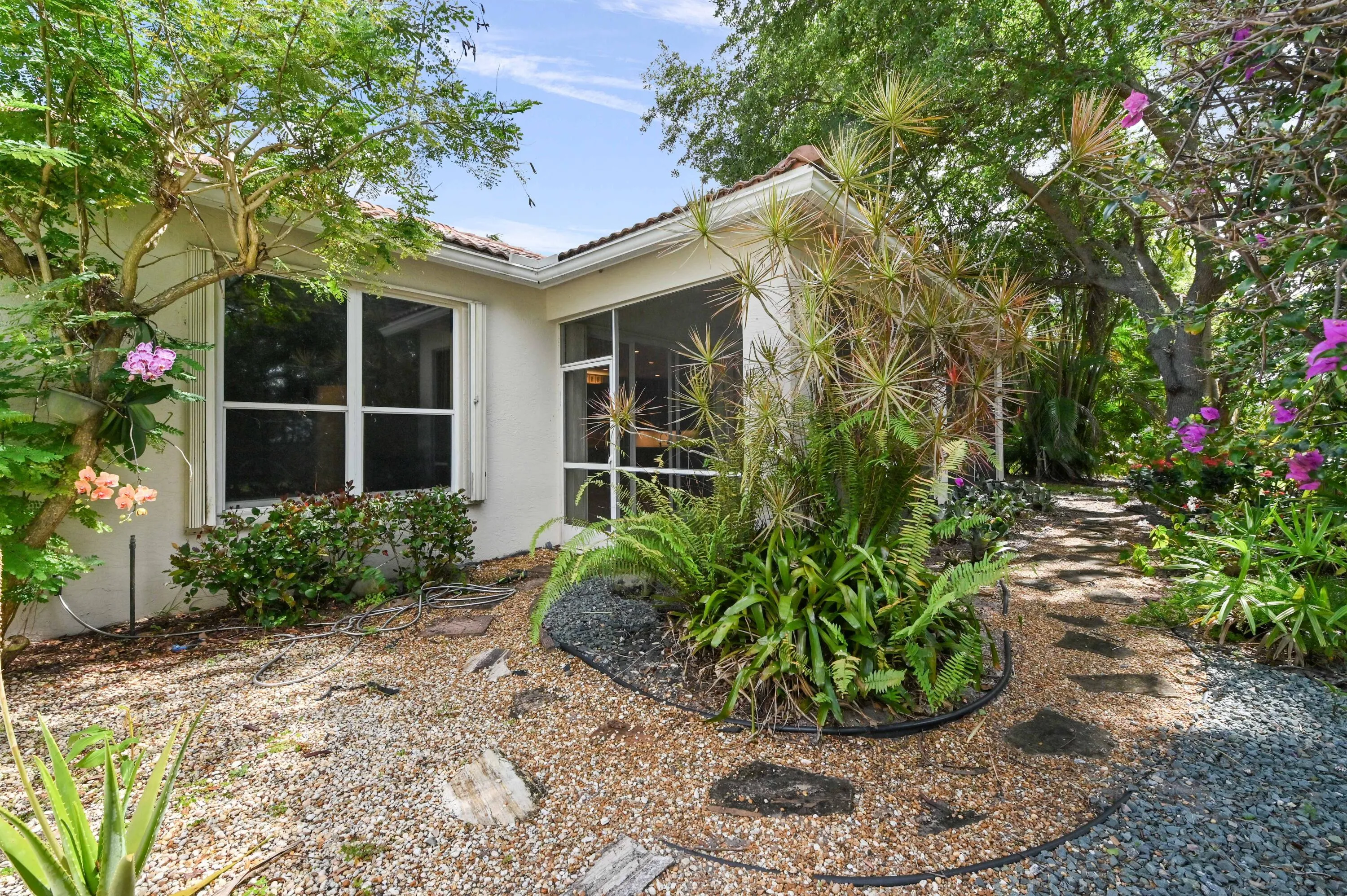 36 backyard 01