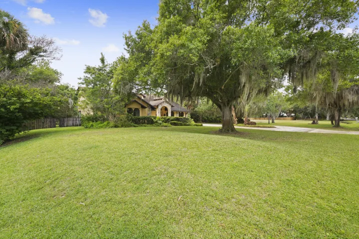 Front yard