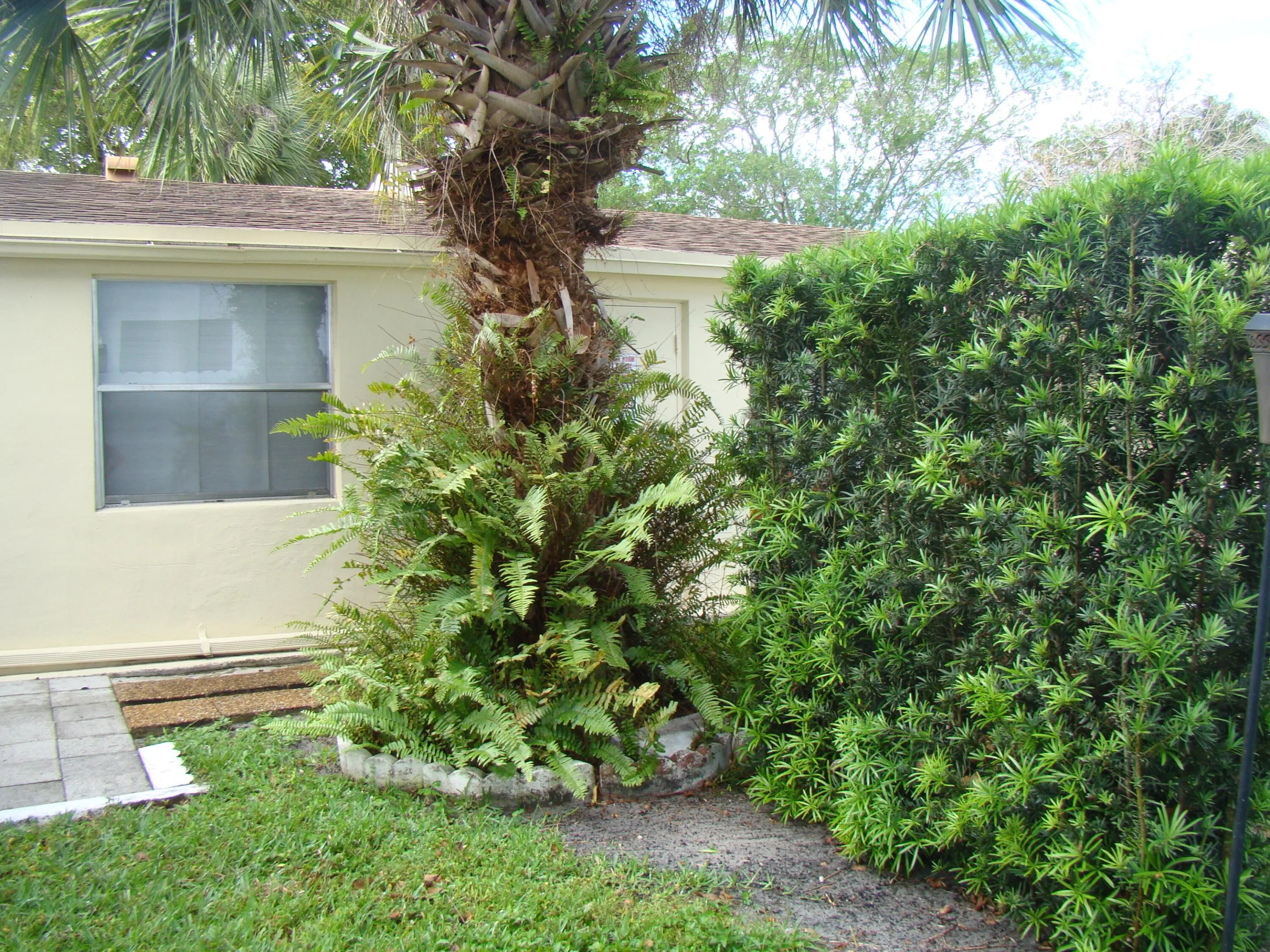 DSC04617