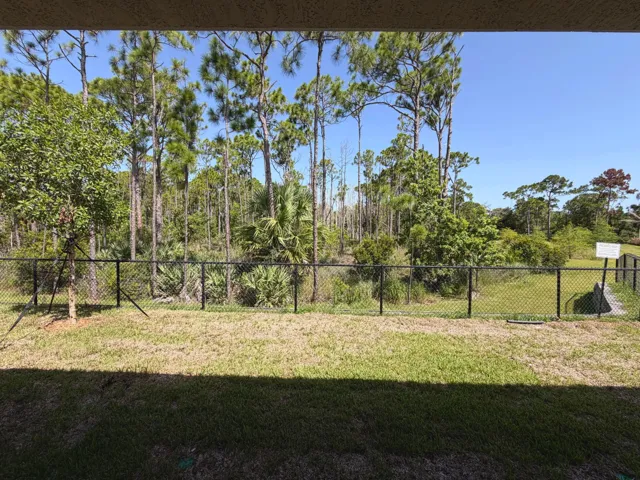 Lot 6 backyard