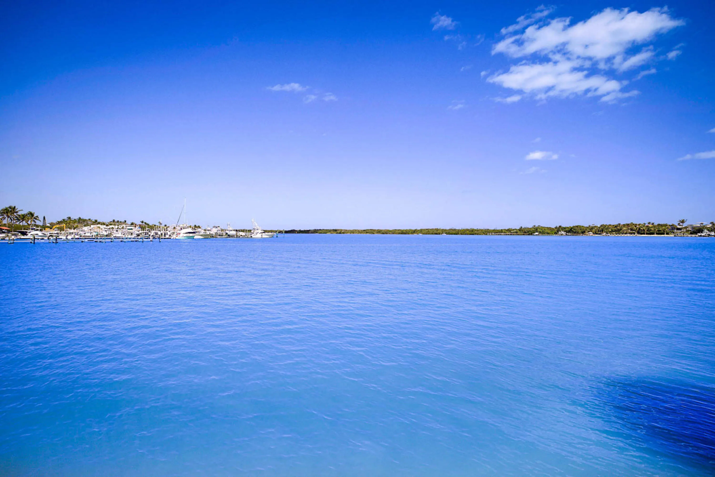 300 Intracoastal Pl Apt 403-38