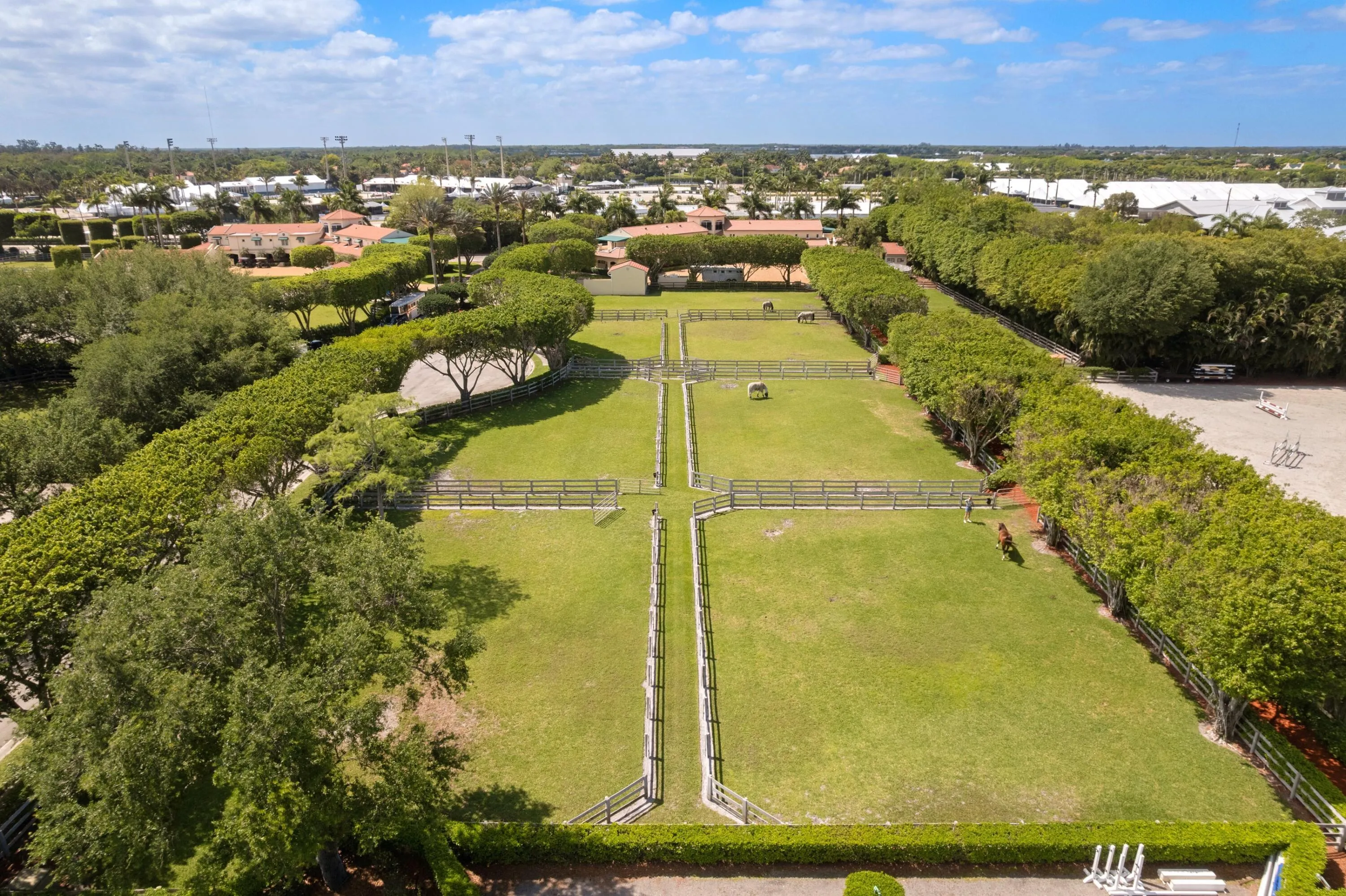 DJI_0051.jpg-SMALL