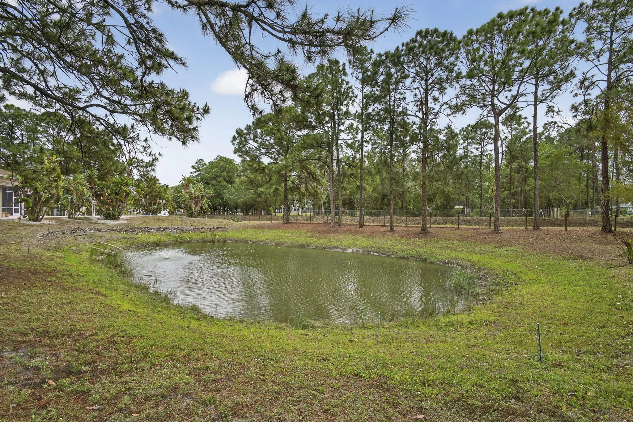 Pond