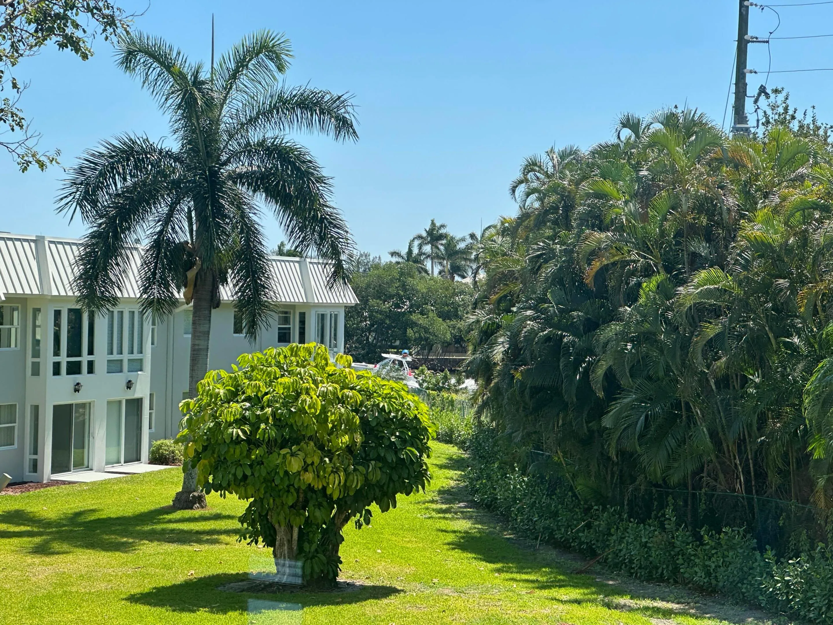 SERENE GARDEN VIEW
