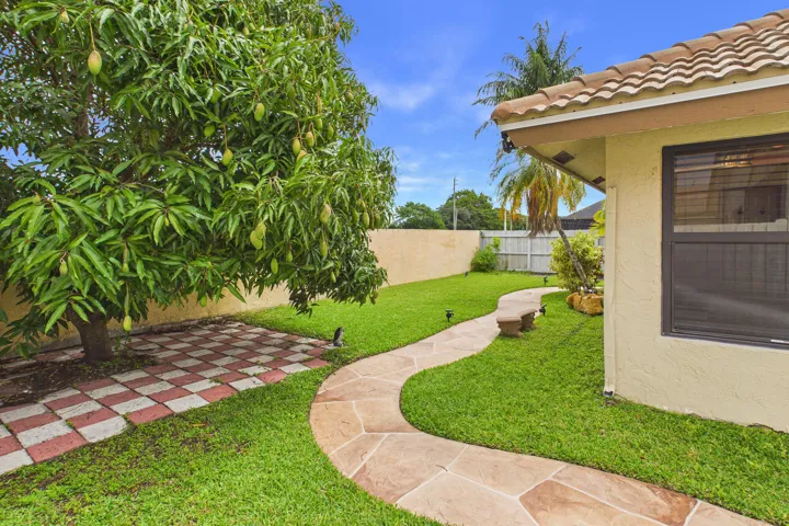Backyard with Mango Tree