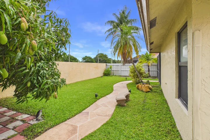 Backyard with fruit tree and stamped concrete walkway