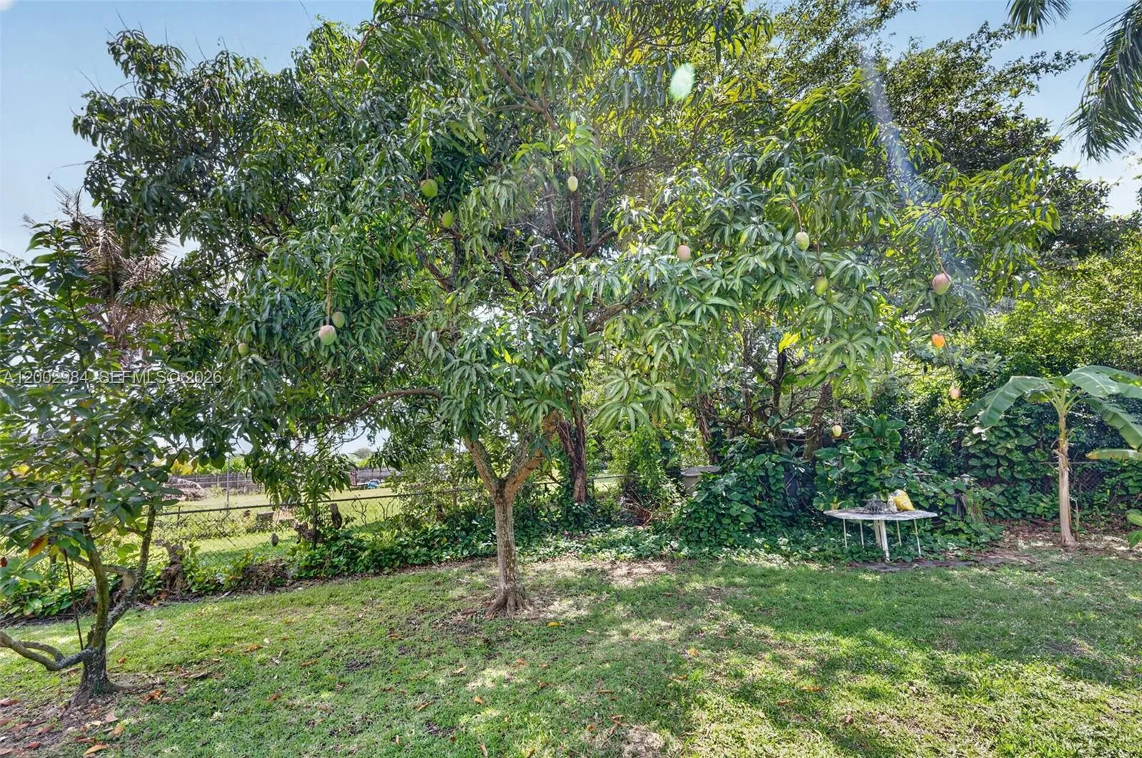 Property photo 55