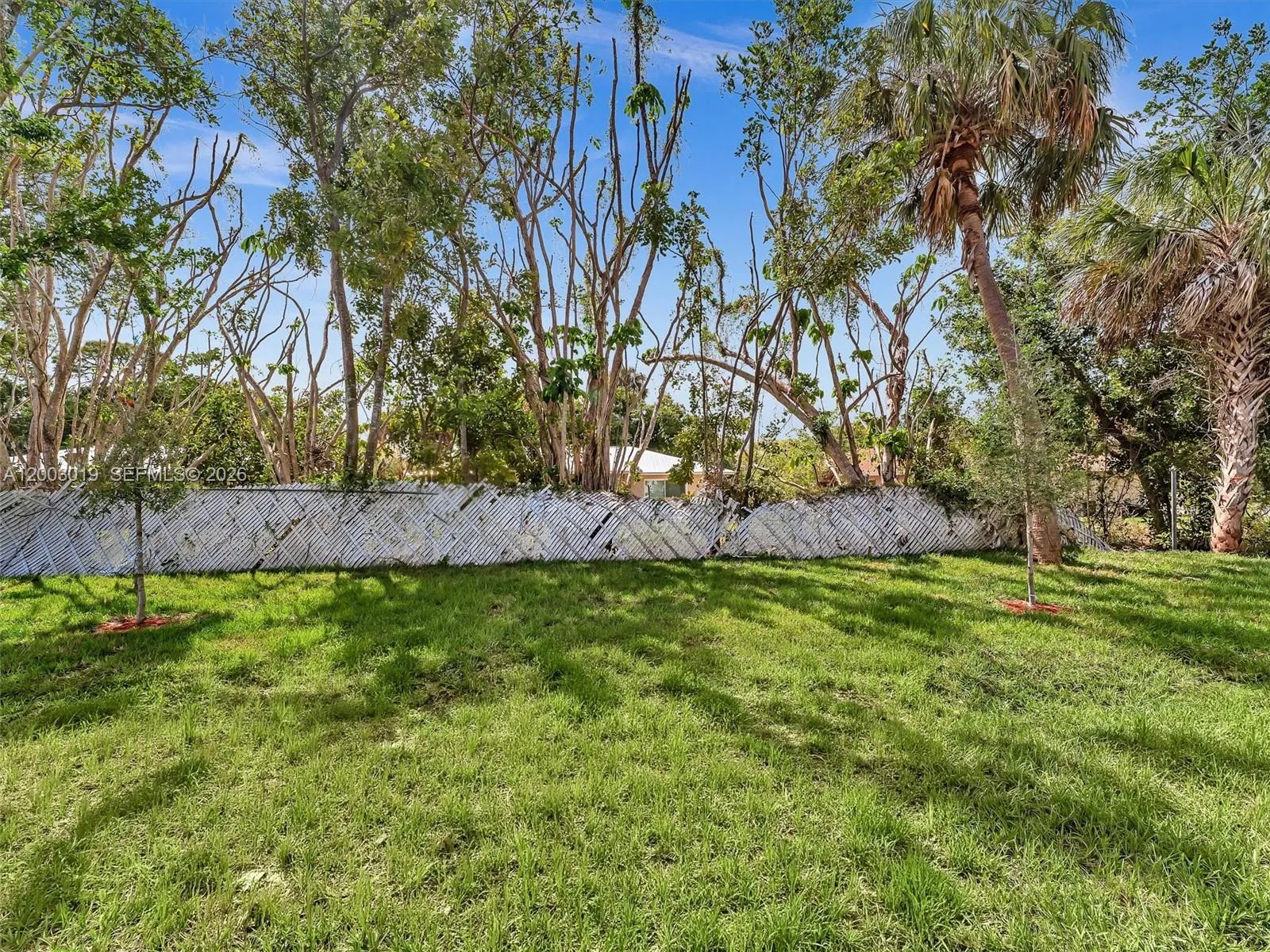 Property photo 79