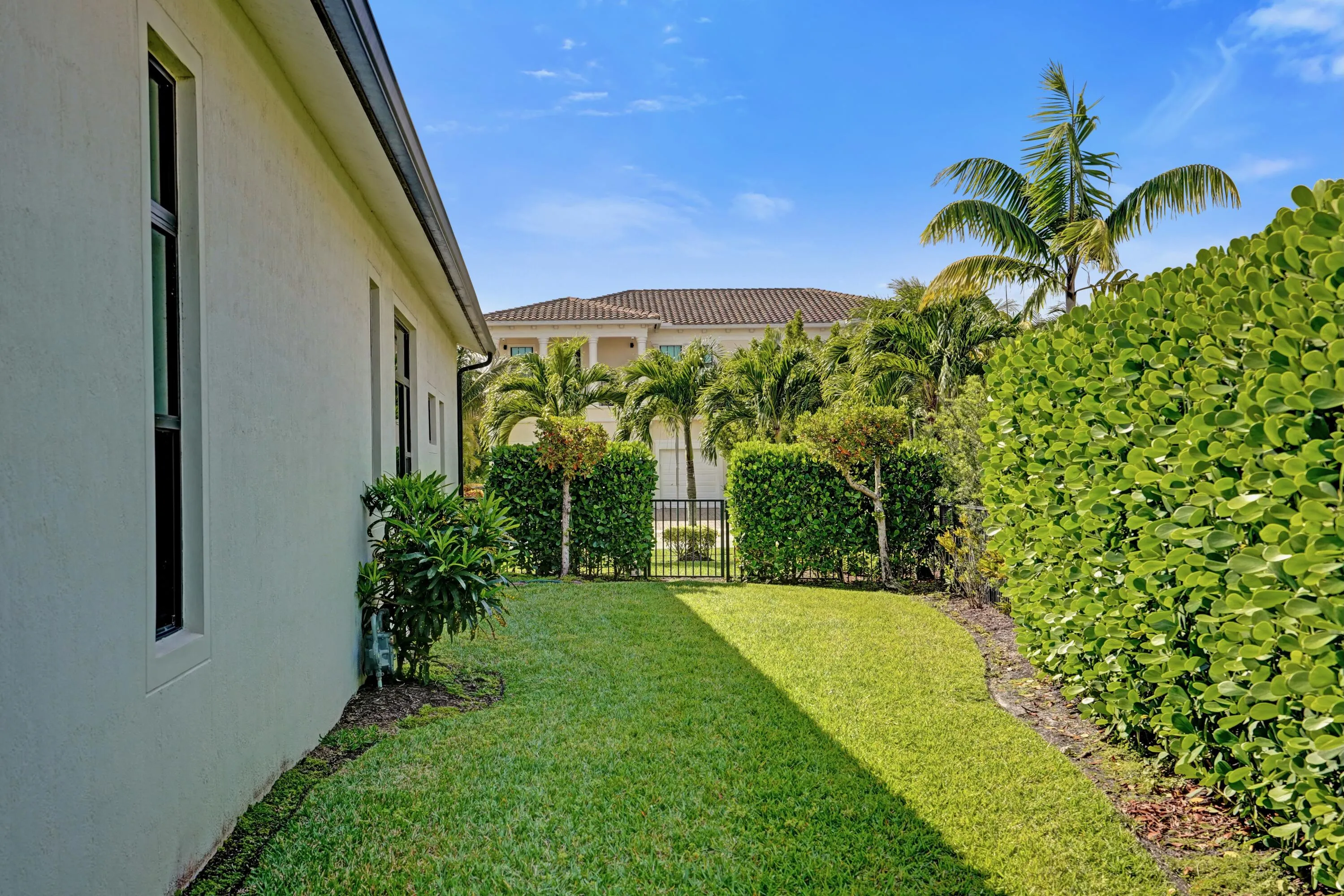 Side Yard