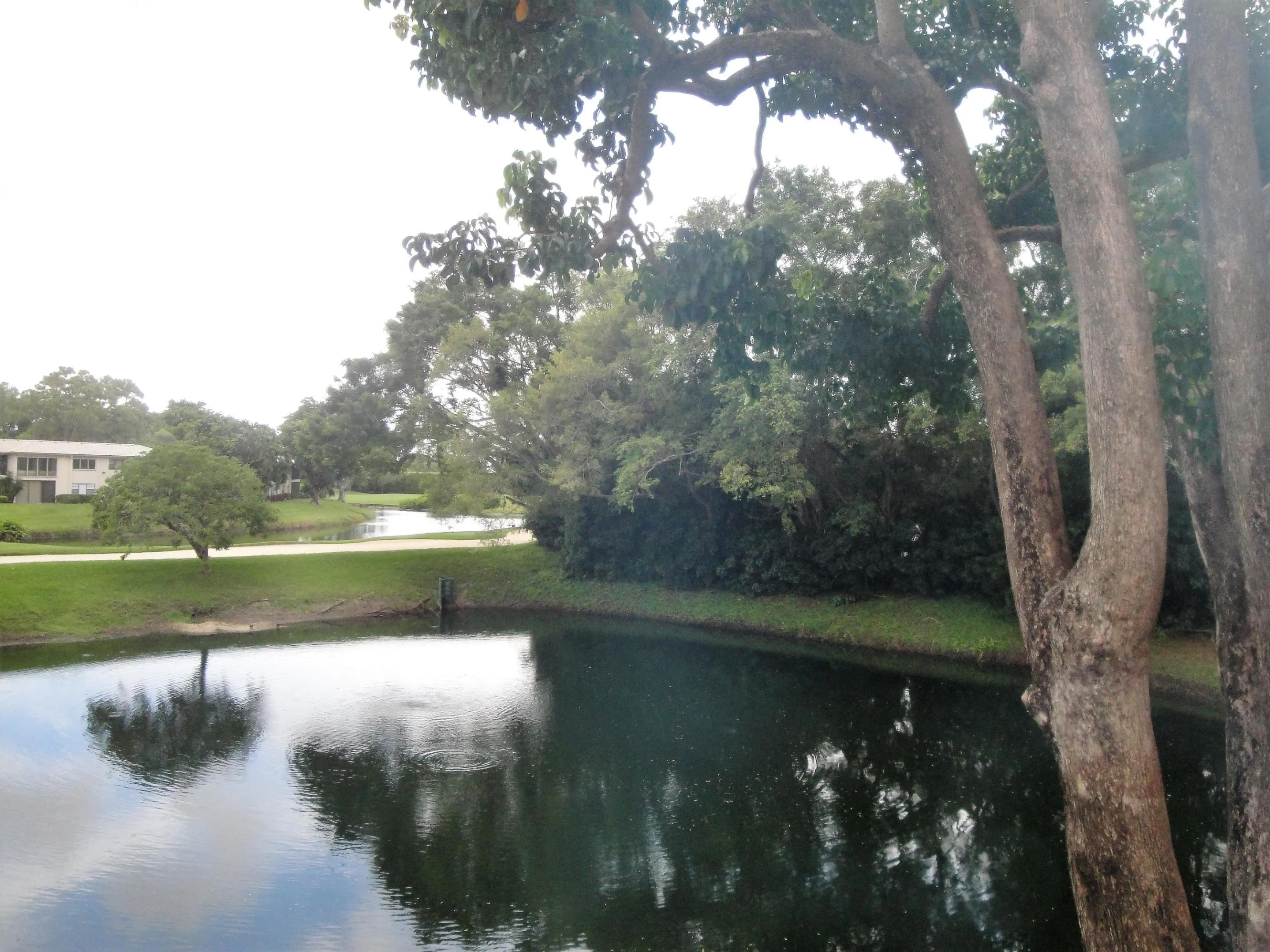 Lake front View