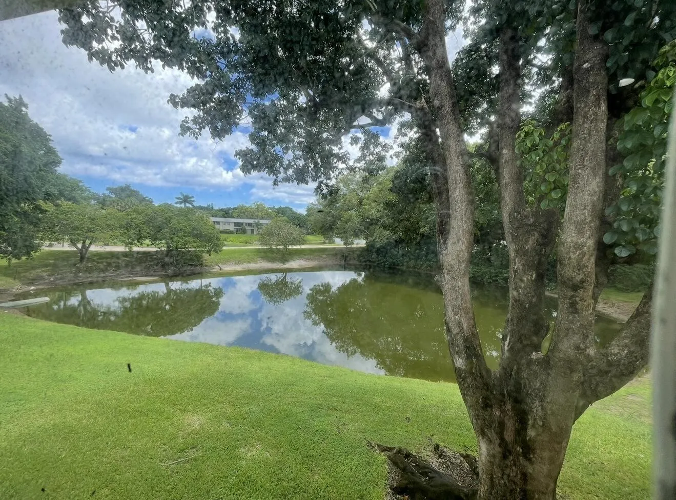 Lake front View