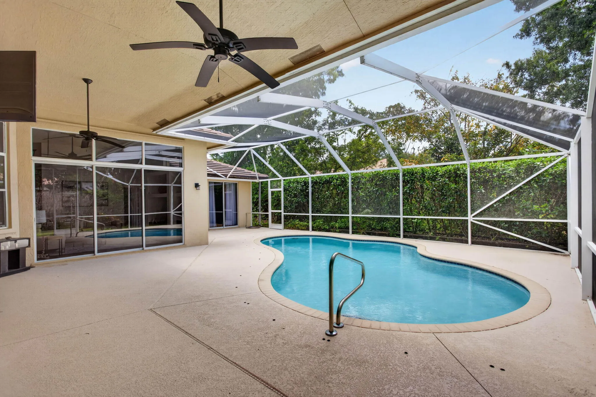 7-web-or-mls-7235-7703