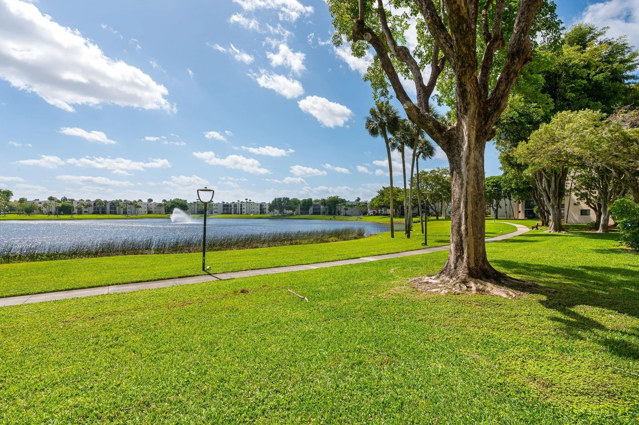 Lake view from unit