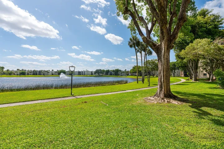 Lake view from unit