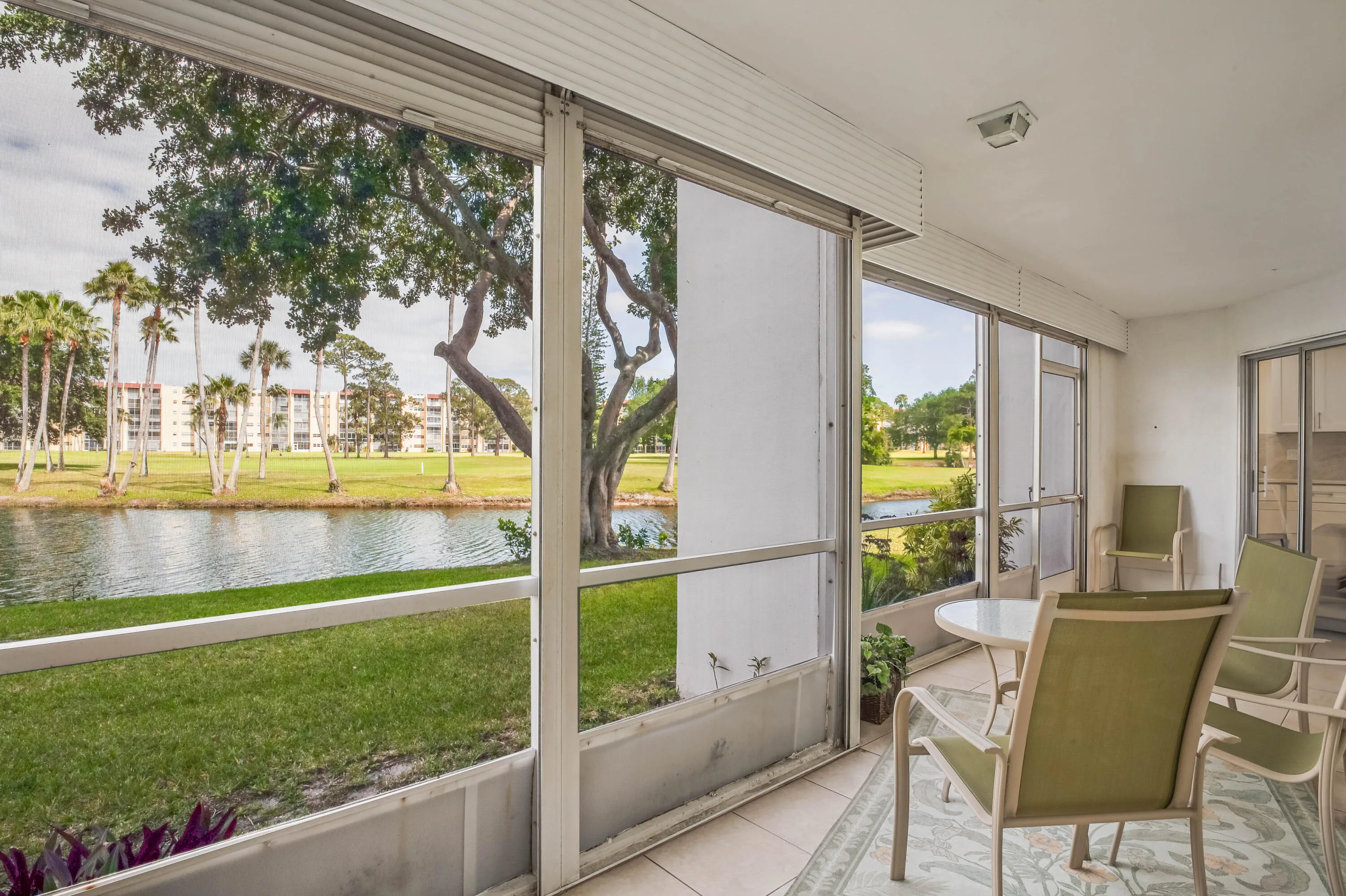 PATIO VIEW
