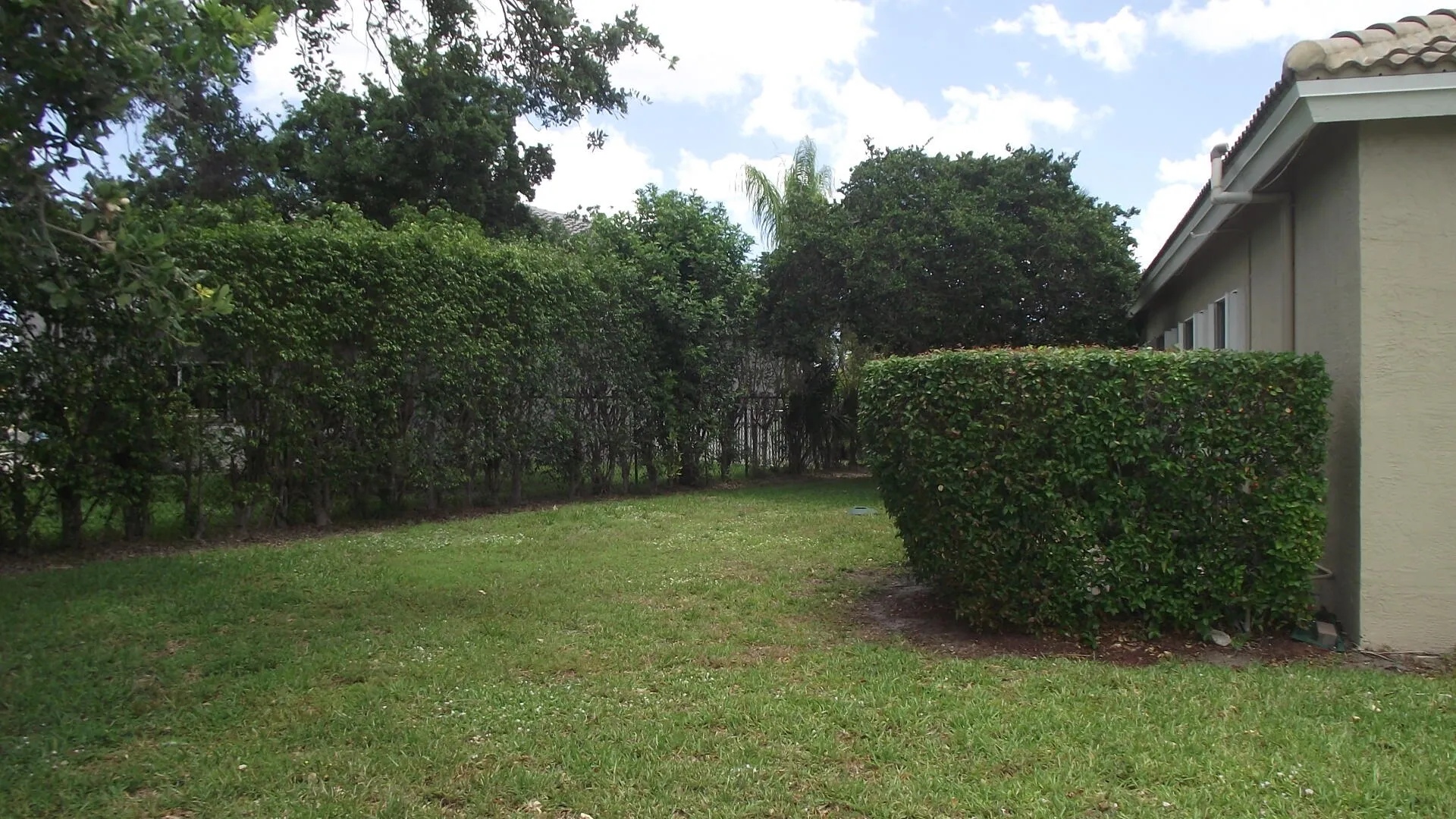 Side Yard