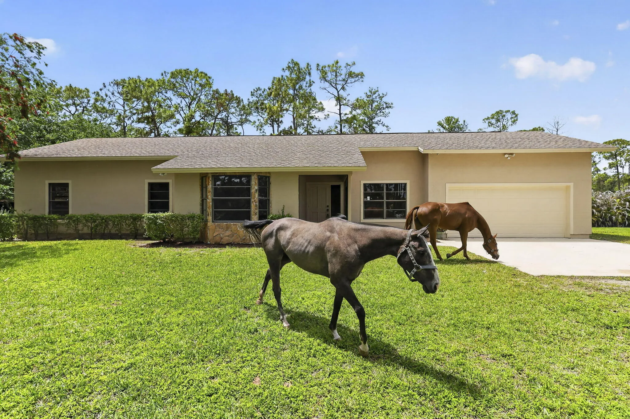 6045 Hall Blvd (2)
