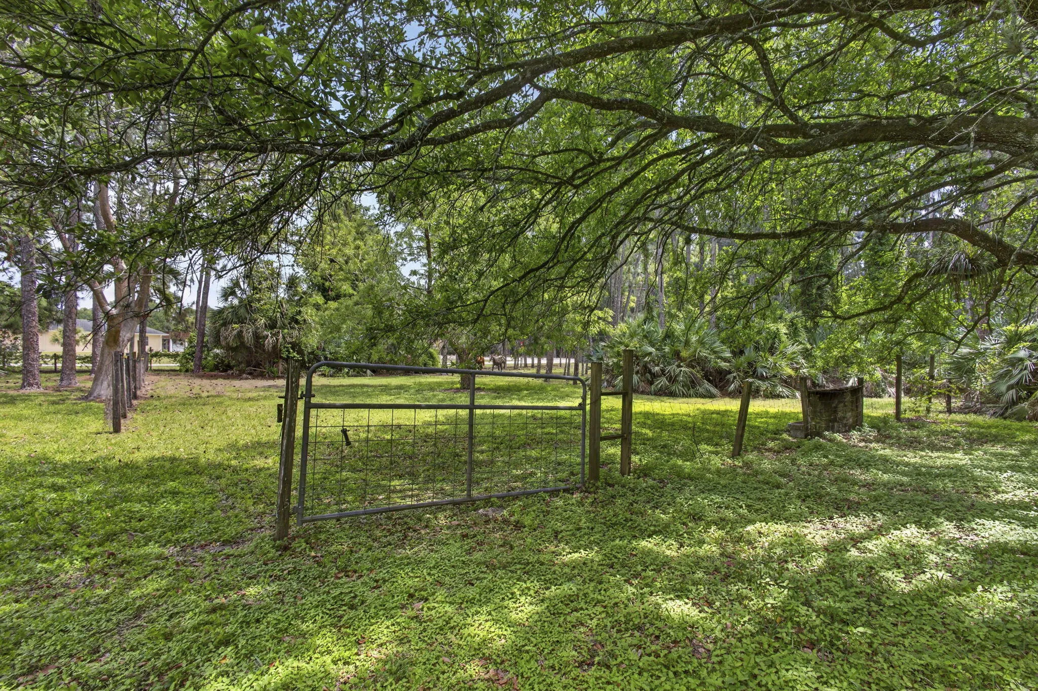 6045 Hall Blvd (57)