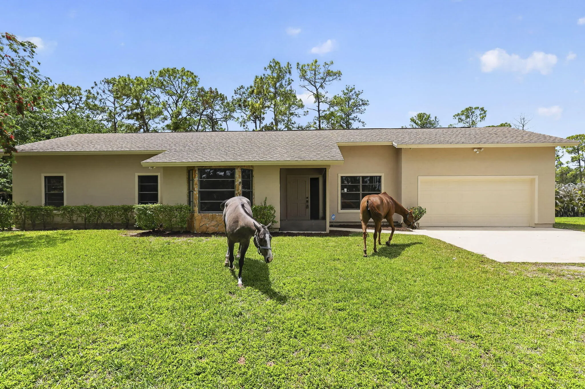 6045 Hall Blvd (4)