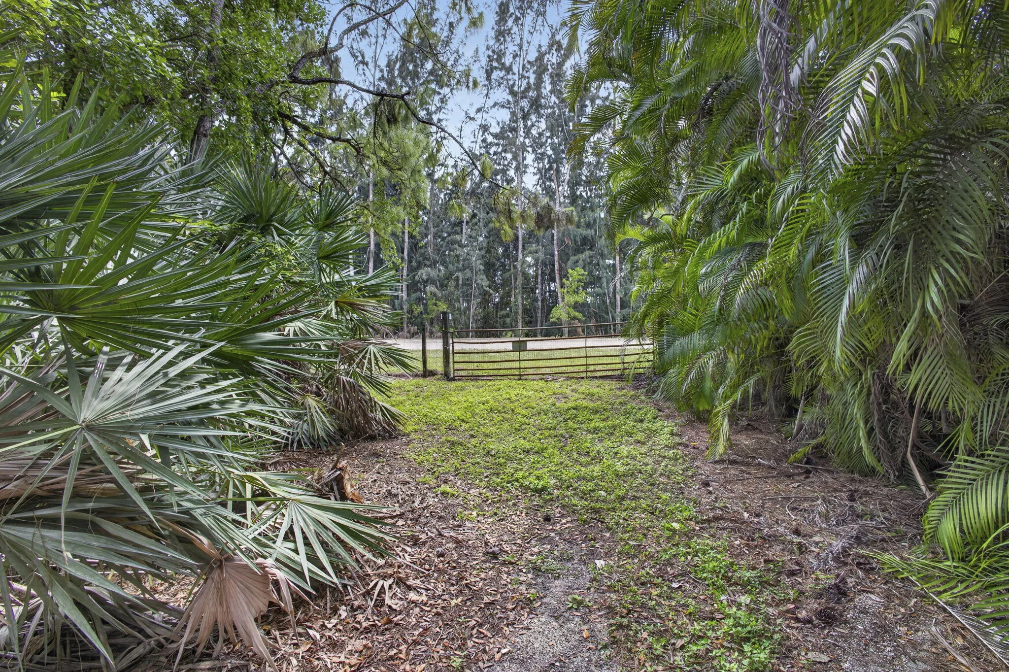 6045 Hall Blvd (68)