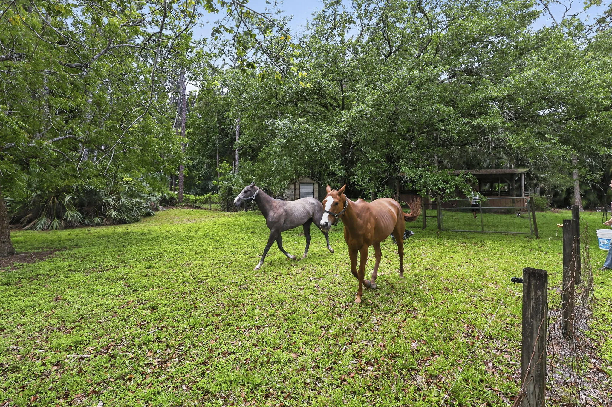 6045 Hall Blvd (59)