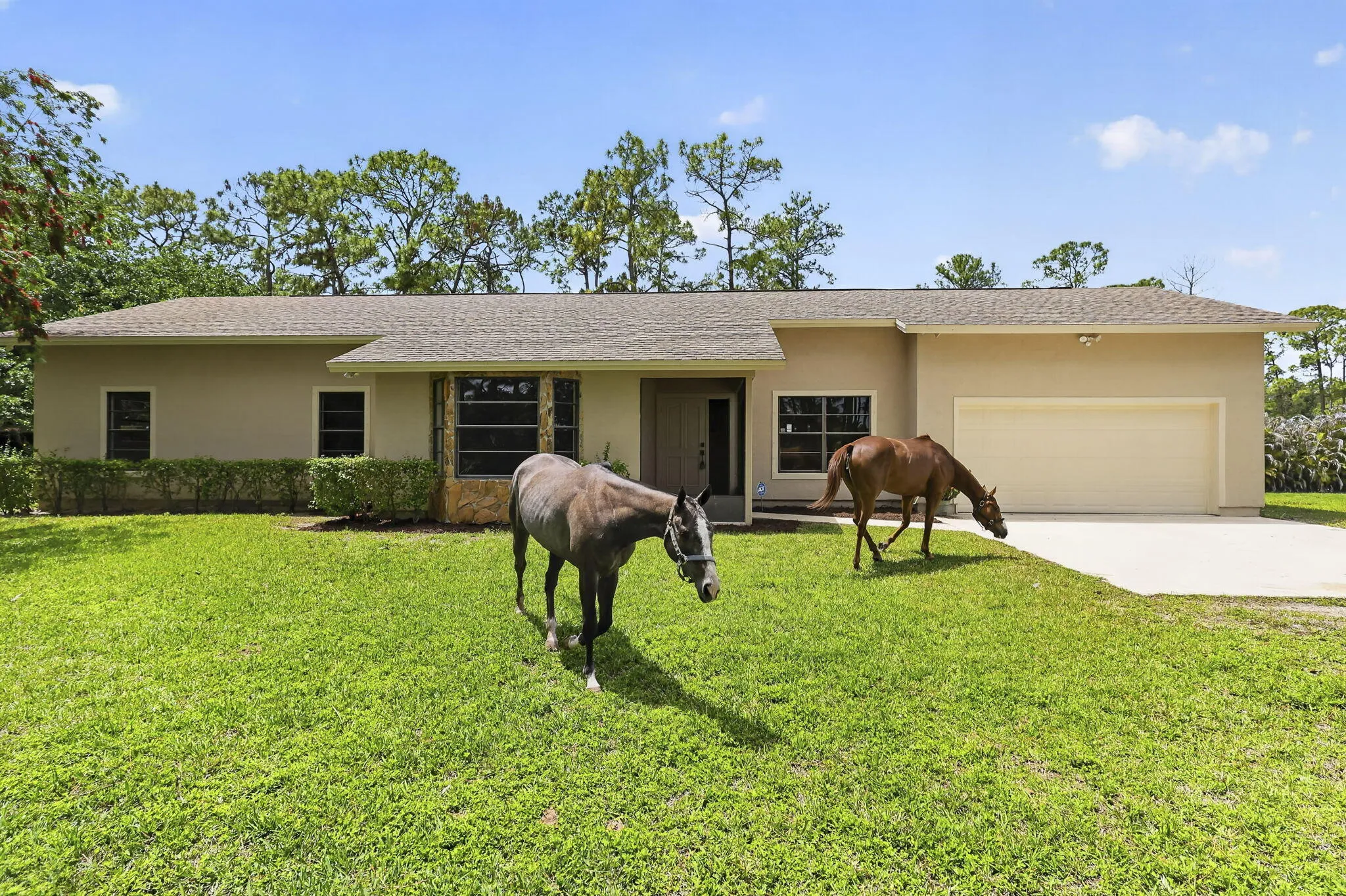 6045 Hall Blvd (3)