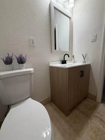 Bathroom - Toilet & Countertop