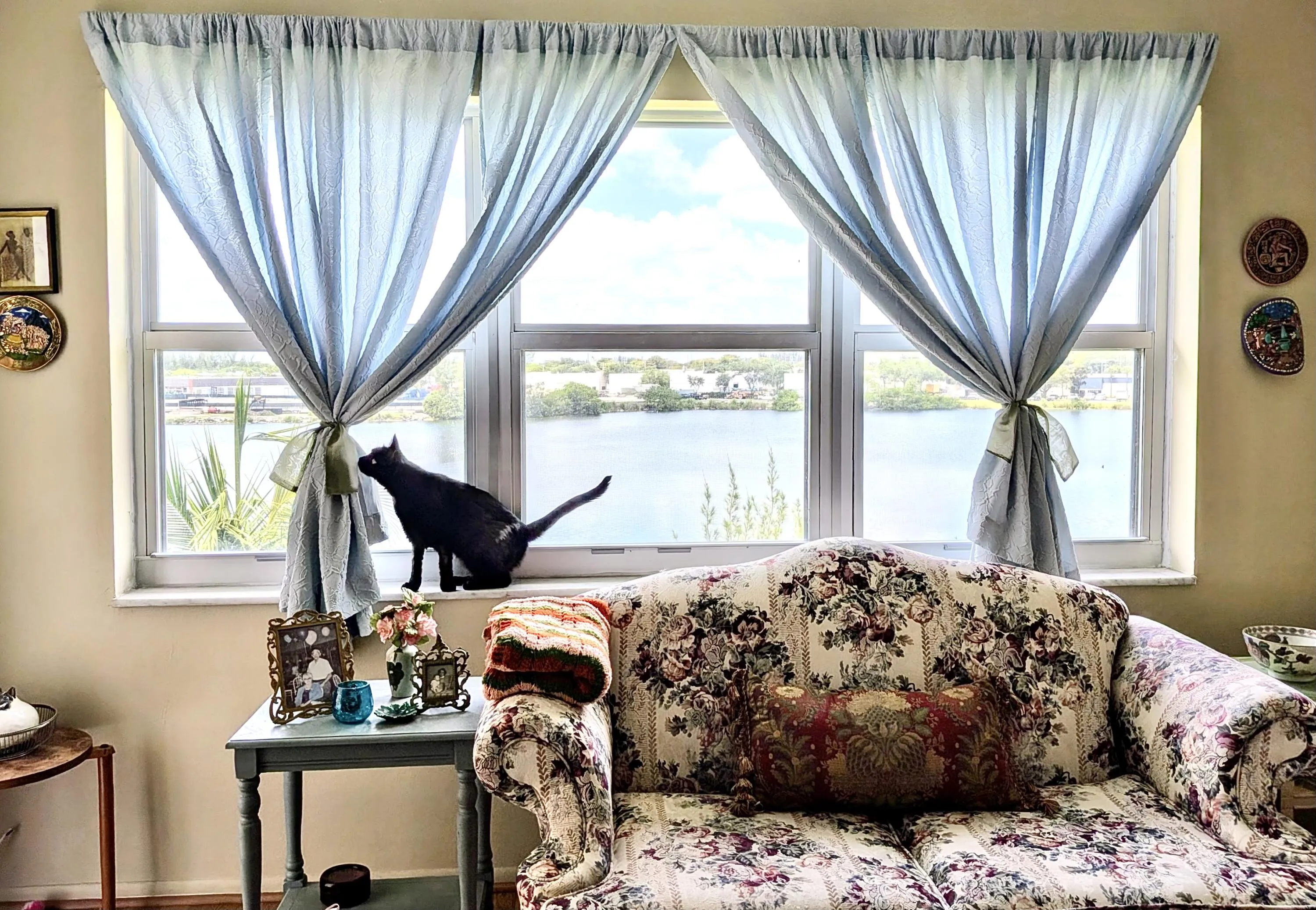 Cat not included : )