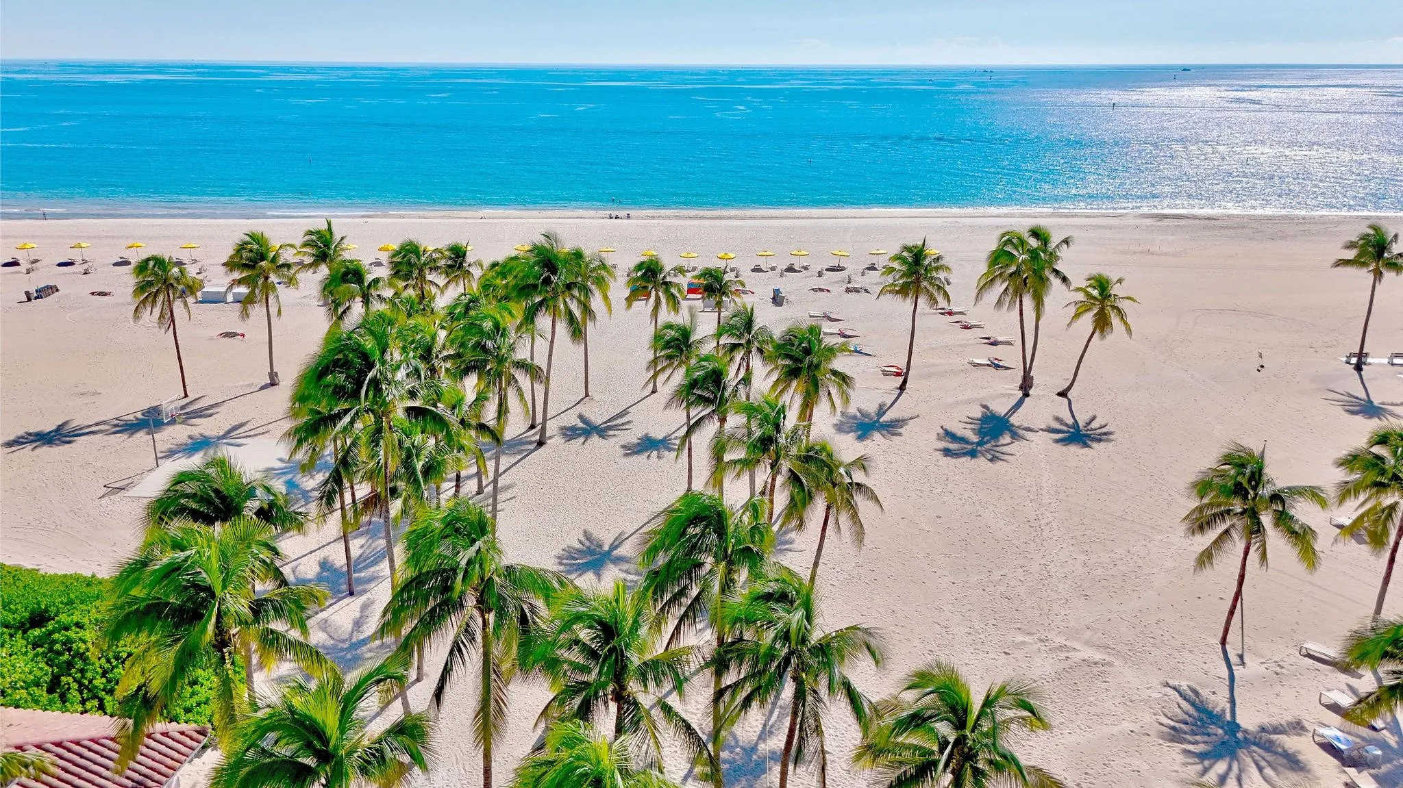Palm Trees, Sandy Beach, & Blue Skies.