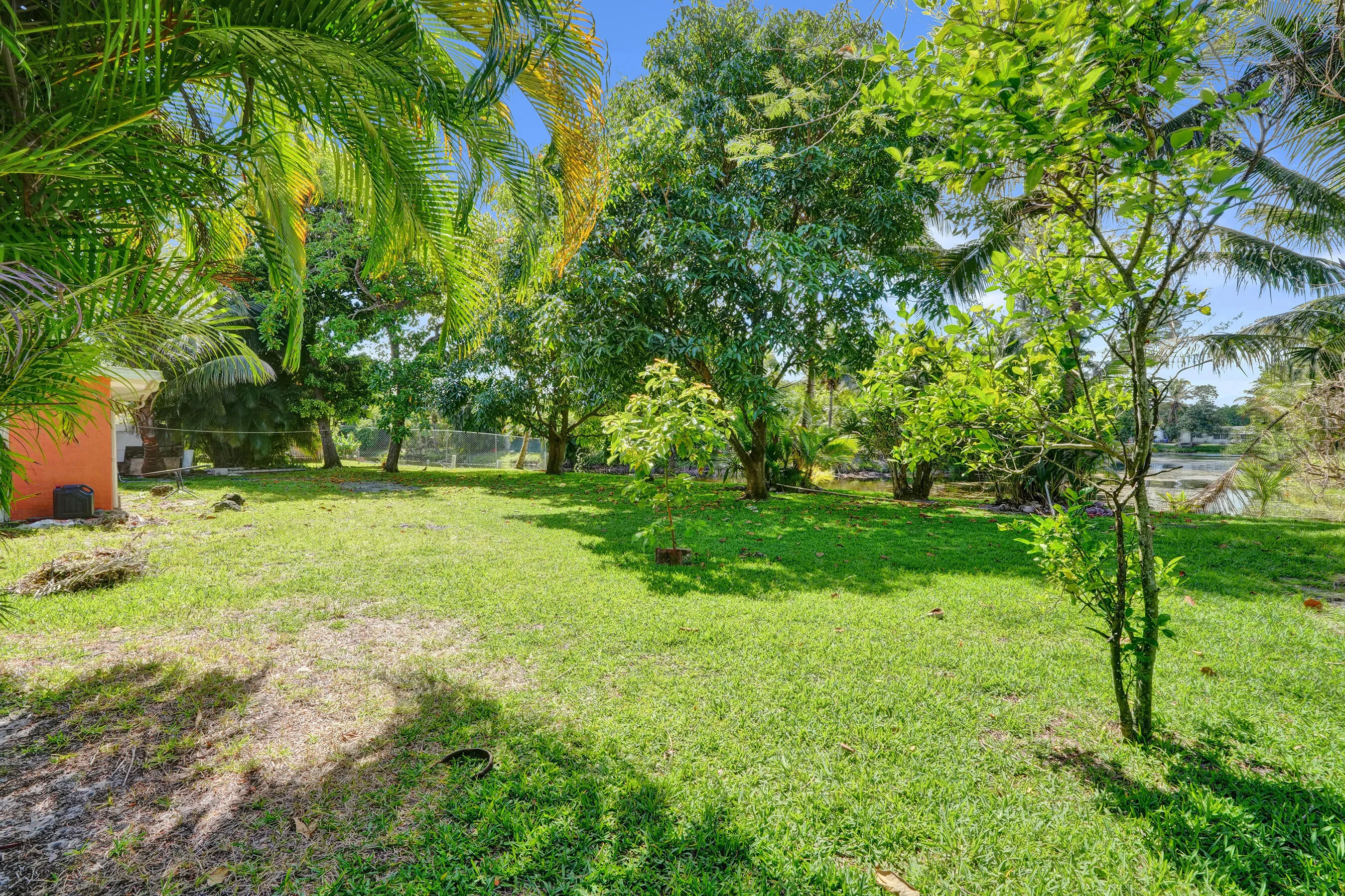 Backyard