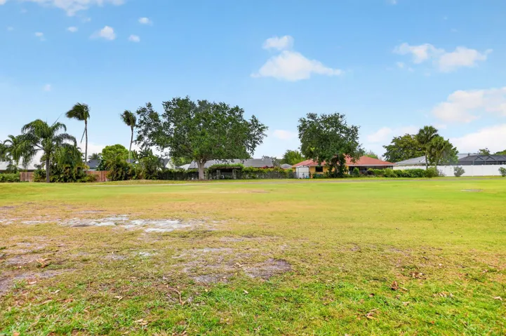 Backyard View
