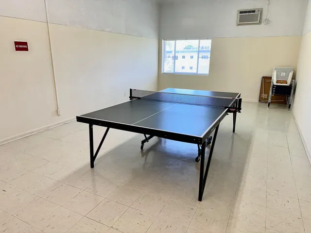 Ping Pong