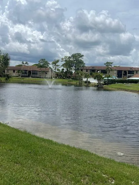 Back Lake View