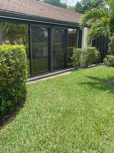 Back area