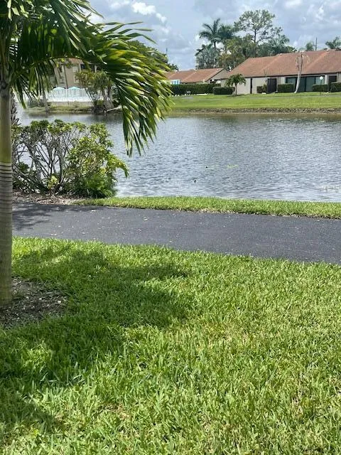 Lake View 2