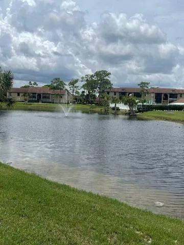 Back Lake View