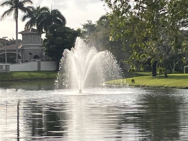 View from Patio