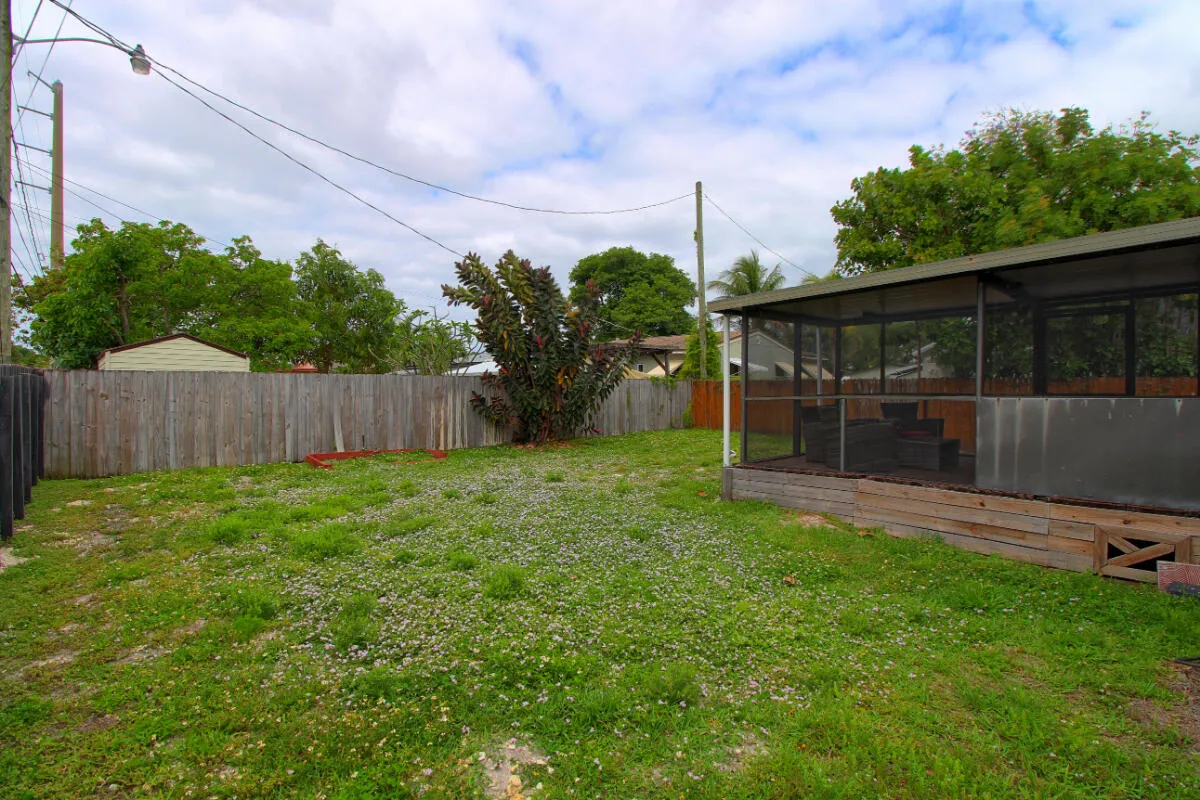 Back Yard
