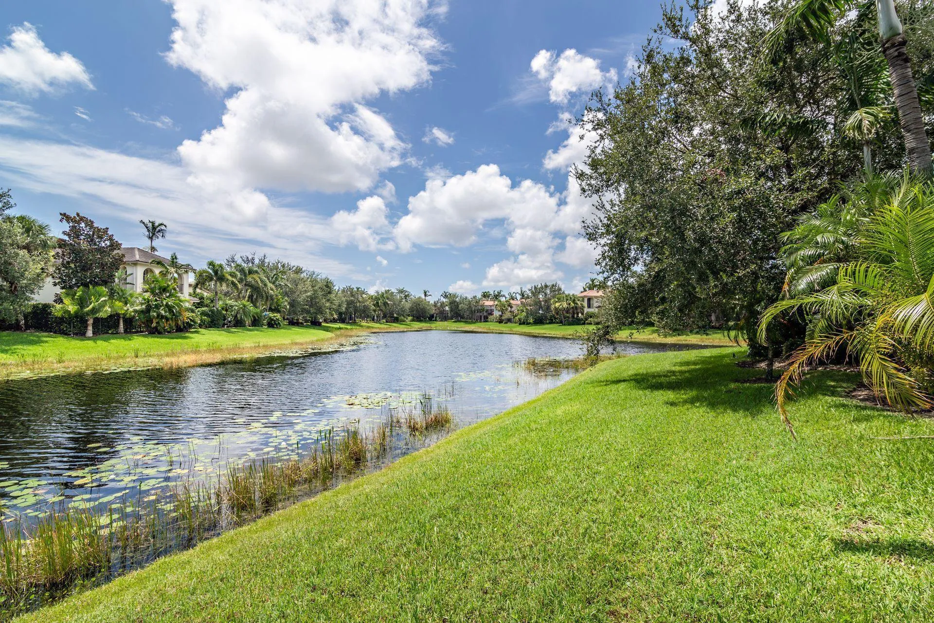 Lake view
