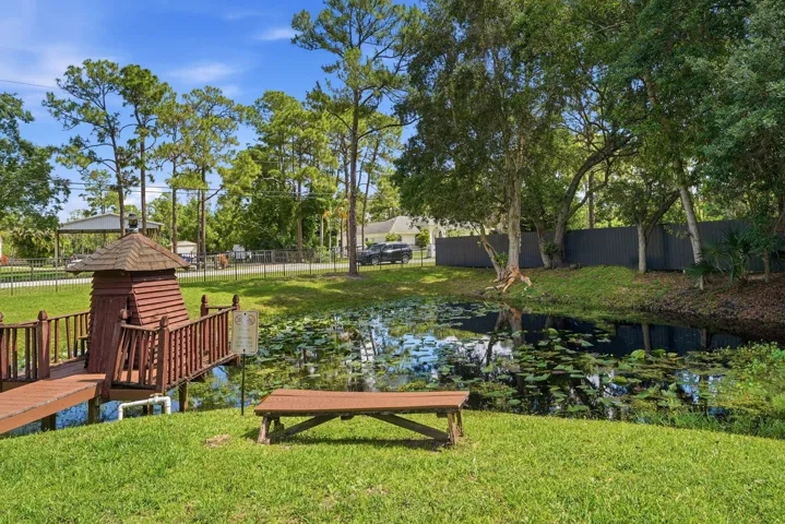 pond
