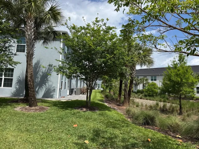 back yard