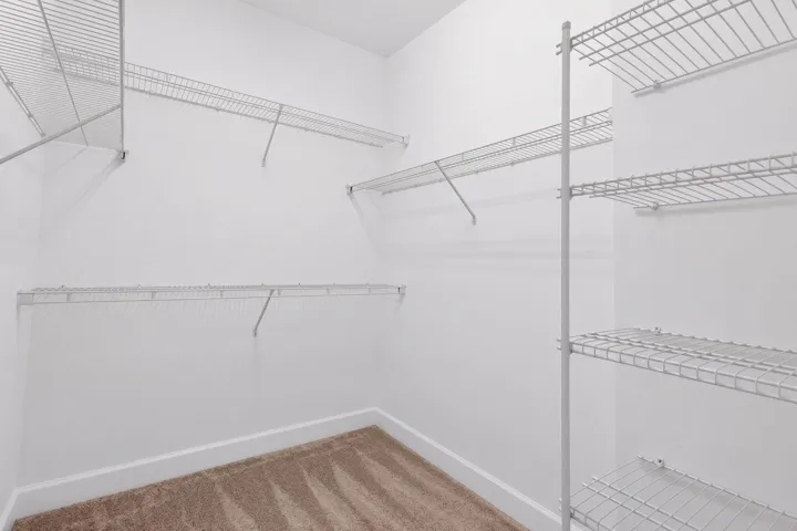25-web-or-mls-5P1A4890